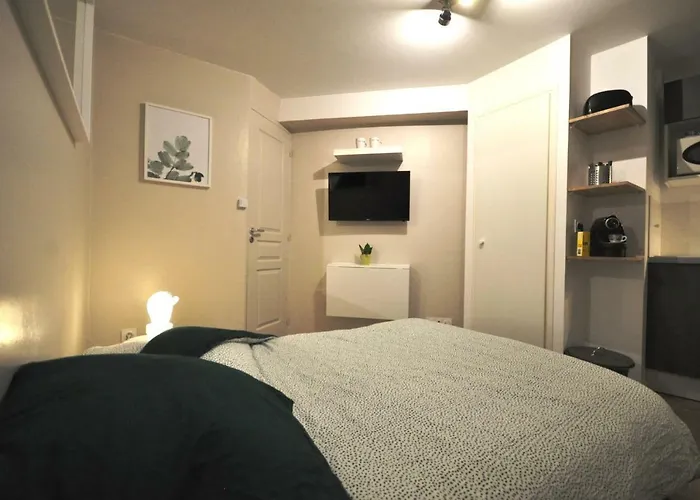 Tiny Et Cosy Quartier St Etienne