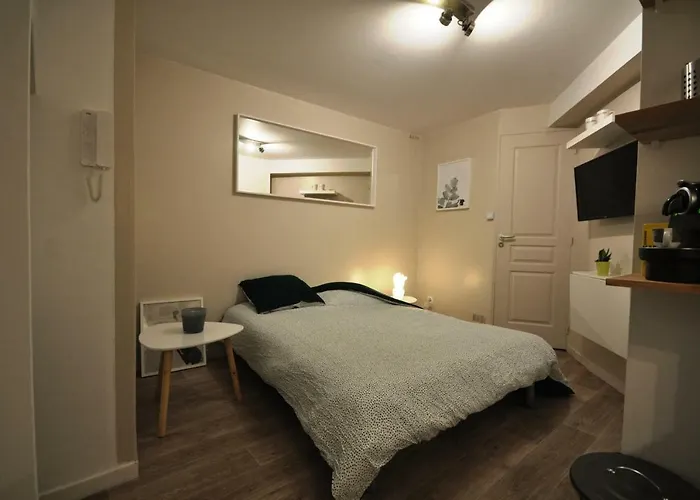 Tiny Et Cosy Quartier St Etienne 公寓 *